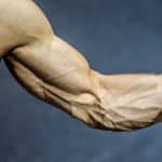 Musculation des avant-bras