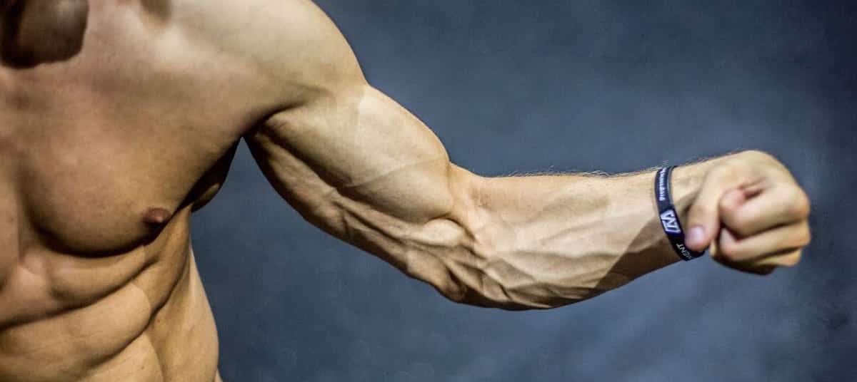 Exercices avant-bras : Extensions poignets haltères